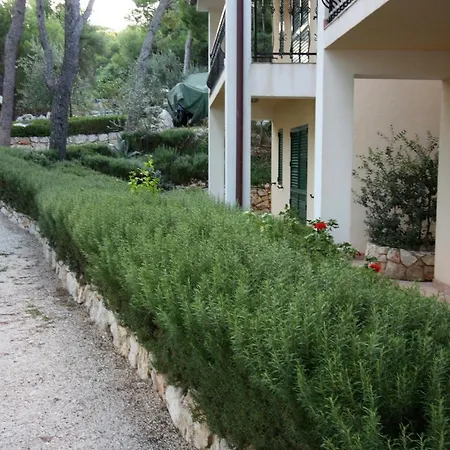 By The Sea - 3197 * Rogoznica (Sibenik-Knin)